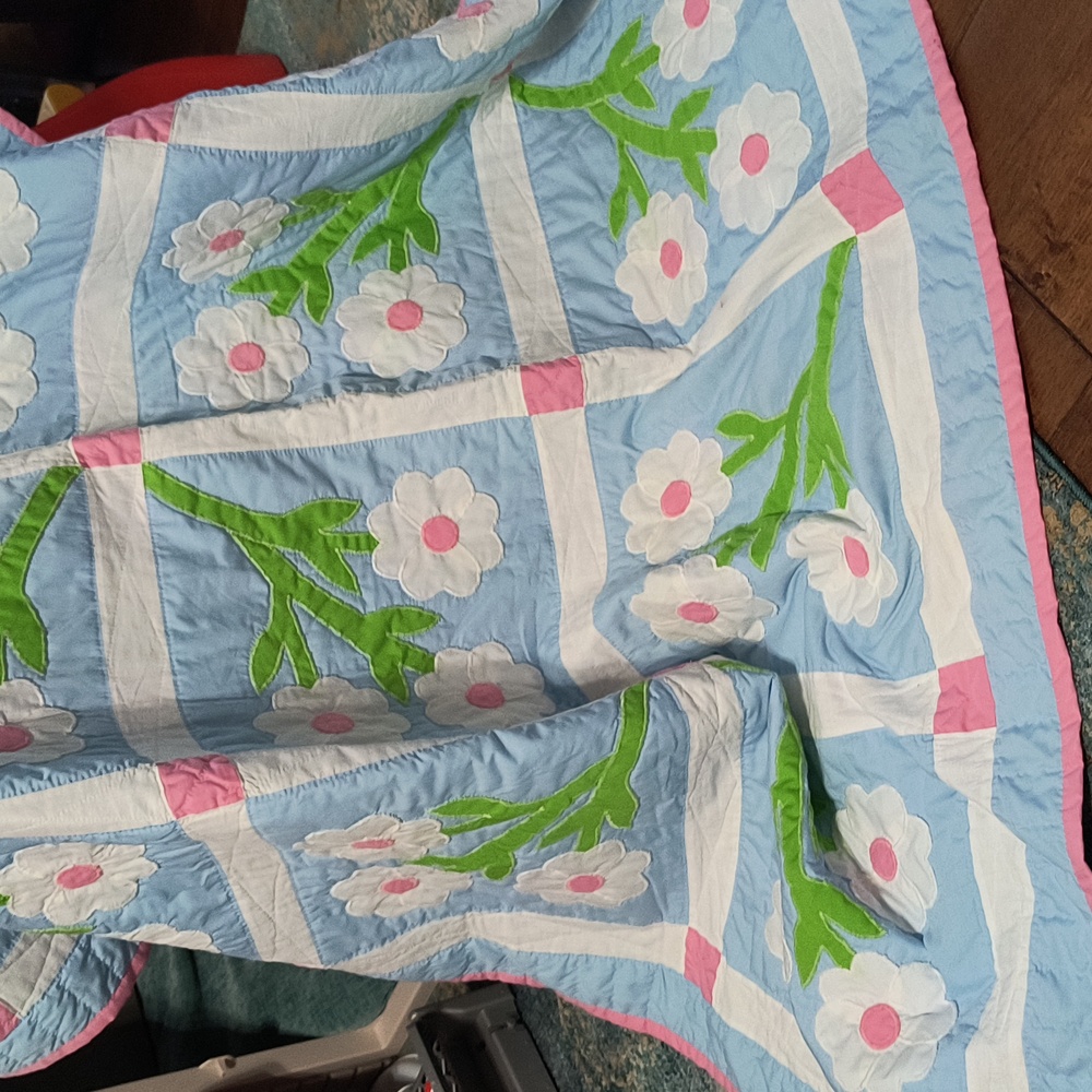 Homemade Twin Quilt And Two Matching Pillows